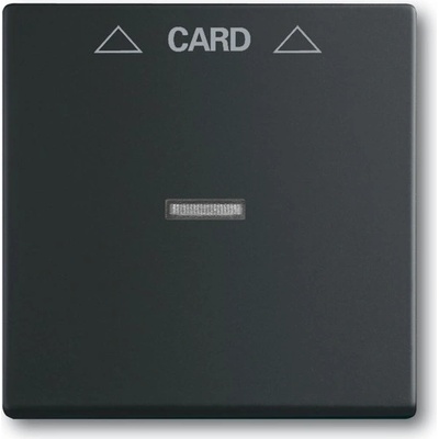 ABB Future linear 2CKA001710A3905