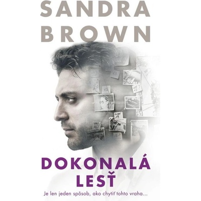 Dokonalá lesť - Sandra Brown