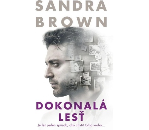 Dokonalá lesť - Sandra Brown
