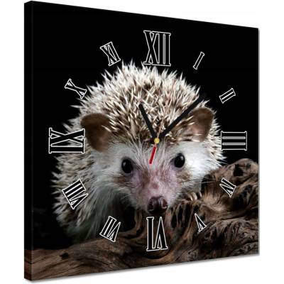 žiadna značka Hodiny 30x30 Múdry ježko na konári