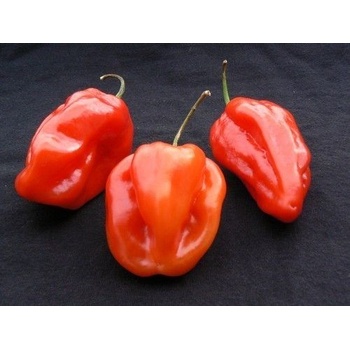 ?️ Семена от люти чушки Habanero Red - 25 броя (207750)