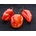 ? ️ Семена от люти чушки Habanero Red - 25 броя (207750)