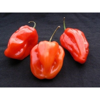 ? ️ Семена от люти чушки Habanero Red - 25 броя (207750)