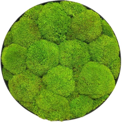 Machový obraz - Kruh - Ball moss Veľkosť rámu: 50cm