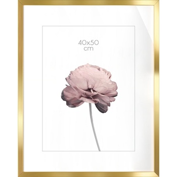 STYLER Рамка за снимки Prague 40 x 50 см златна гланцова (RA-15111)