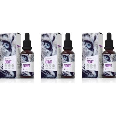 Energy Etovet 3 set 90 ml