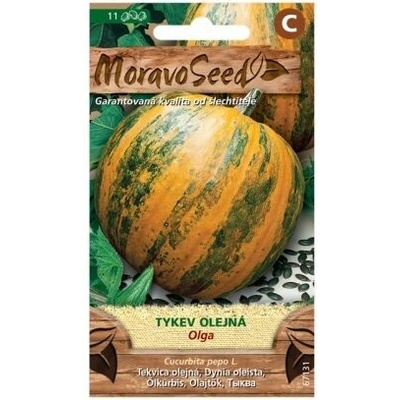 Tykev olejná OLGA MoravoSeed