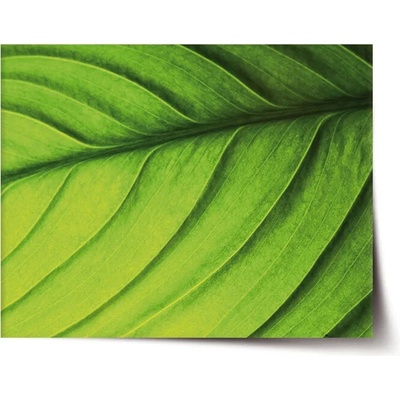 Sablio Plagát List - 90x60 cm