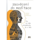 Zasvěcení do meditace