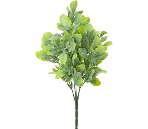 ZELEŇ LÍSTKY ZELENÉ 27CM