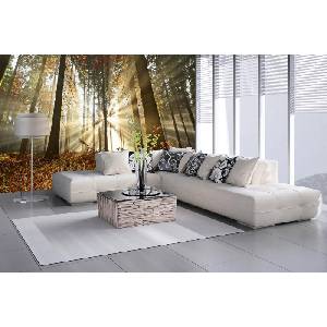 DIMEX ART Самозалепваща се флизелинова фототапета гора на разсъмване 375 x 250 см