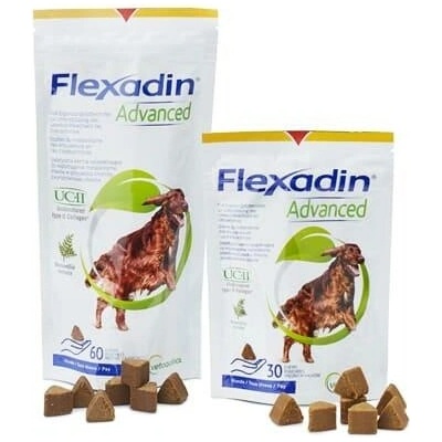 Flexadin Advanced pre psov 60 tbl.
