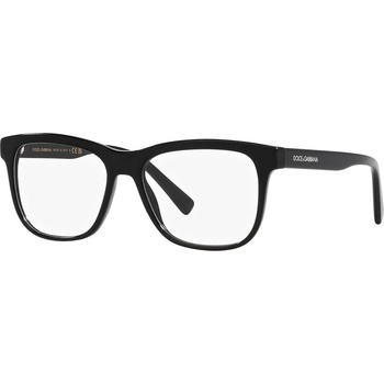 Dolce&Gabbana DX3356 501