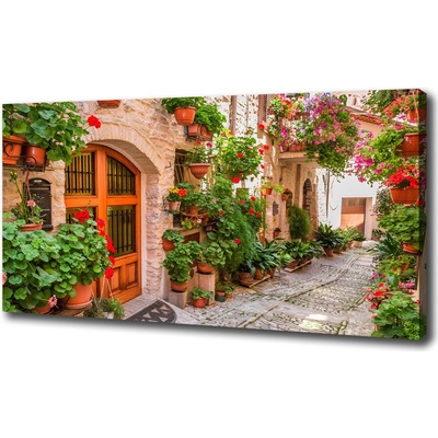 Foto obraz canvas Očarujúcá ulička 100x50 cm
