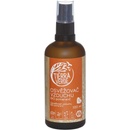 Tierra Verde Osvěžovač vzduchu – BIO pomeranč 100 ml