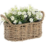 Bizzotto ИЗКУСТВЕНО ЦВЕТЕ PETUNIA 23, 5x12, 5x17 cm БЯЛО (0172708)