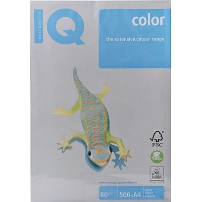 Kancelársky papier farebný A4 80g GR21 Trend Grey IQ