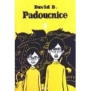 Padoucnice 2