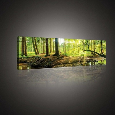 Postershop Obraz na plátně: Lužní les - 145x45 cm