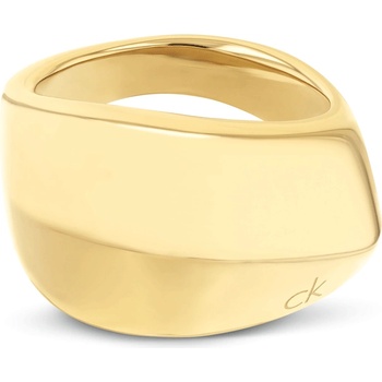 Calvin Klein 35000822d (35000822d)