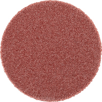 Pferd 42832124 | PSA-Discs 20 A 240
