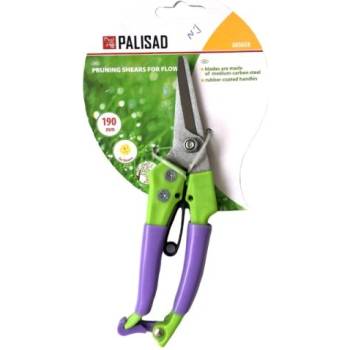 Image 1 of PALISAD 605658