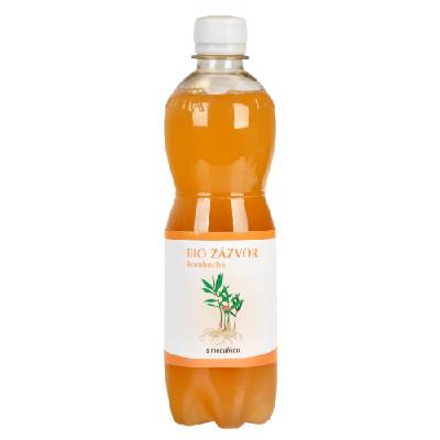 Kombucha zázvorová s meduňkou 500 ml BIO STEVIKOM