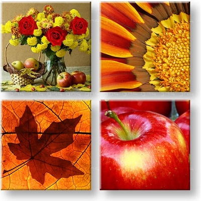 Obraz na stenu The smell of Autumn - 40x40 cm