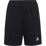 adidas Ent22 tr shoy 152