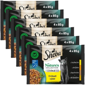 Sheba Natures Collection Консерва с пилешко месо в желе 6 x (4 x 85 г)