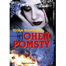 Oheň pomsty