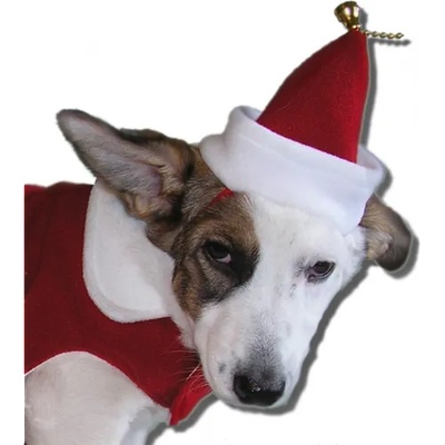 ДОГИФЕШЪН ЗОО ЕООД КОЛЕДНА ШАПКА за кучета и котки, ДОГИФЕШЪН БЪЛГАРИЯ