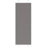 vidaXL Плисирана щора Антрацит 75x200 cm Ширина на плата 74, 4 cm (4015104)