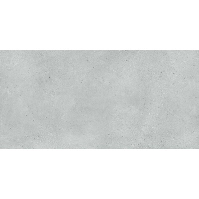 EBS Brighton 30 x 60 cm grey matná 1,08m²