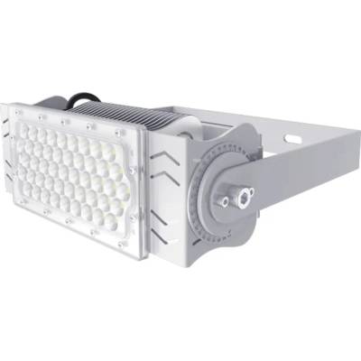 Sinclair Lighting FL2 100