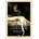 Vamzzz Publishing Incubi and Succubi or Demoniality | Sinistrari Of Ameno
