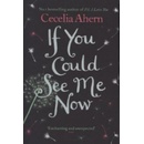 If You Could See Me Now