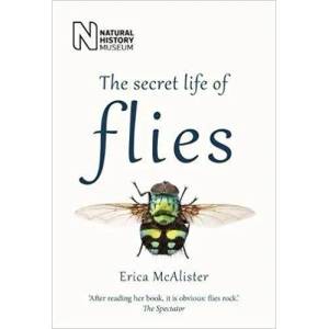 The Secret Life of Flies (ISBN: 9780565094751)
