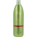 Inebrya Energy Shampoo proti vypadávaniu vlasov 1000 ml