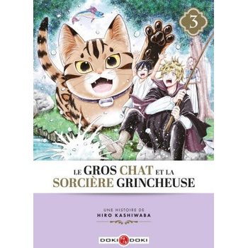 Le Gros Chat et la Sorcière grincheuse - vol. 03