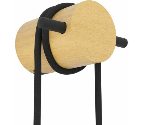 EGLO 43898