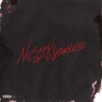 Burna Boy - No Sign of Weakness (Brown Opaque Coloured) (LP) (0075678600715)