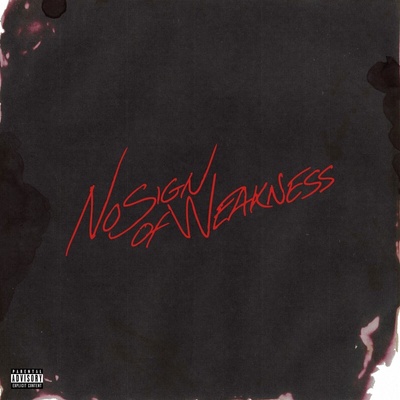 Burna Boy - No Sign of Weakness (Brown Opaque Coloured) (LP) (0075678600715)
