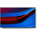 NEC MultiSync P555