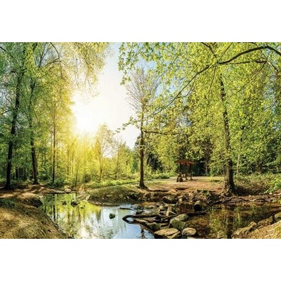 IMPOL TRADE 10508 VEXL Vliesová fototapeta les s potokom rozmer 208 cm x 146 cm
