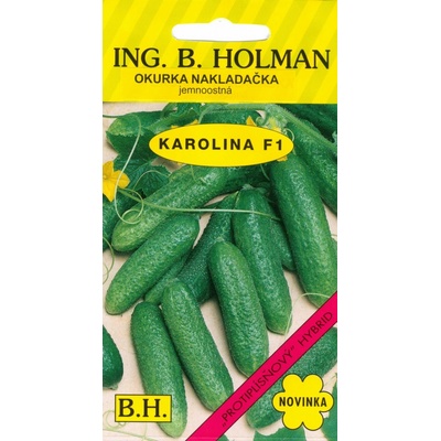 ING. B. HOLMAN Okurka nakl. Holman - Karolína hu F1 2,5 g