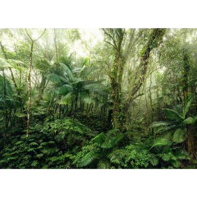 Komar Vliesová fototapeta Mindfulness rozměry 350 x 250 cm
