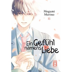 Ein Gefühl namens Liebe 16 | Megumi Morino, Yayoi Okada-Willmann (2025)