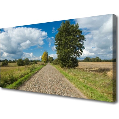 Obraz na plátně Vesnice Cesta Dlažba Krajina 100x50 cm