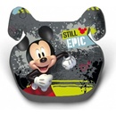 Compass 2019 Mickey Mouse